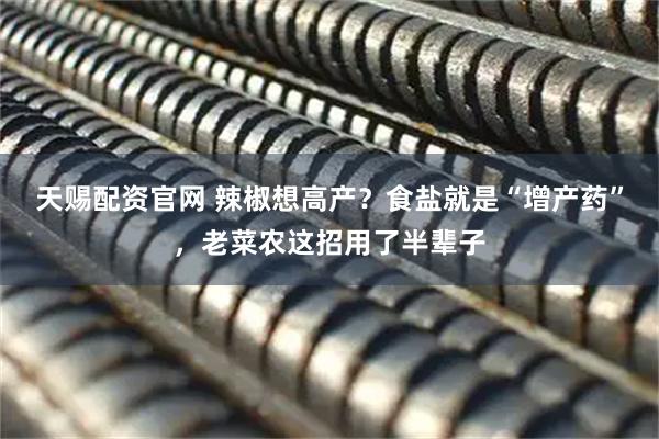 天赐配资官网 辣椒想高产？食盐就是“增产药”，老菜农这招用了半辈子